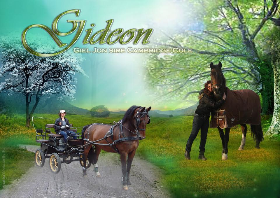 gideon intro